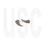 Nikon 1B002-544 Aperture Blade | AF-S DX 18-135 3.5-5.6 G IF ED