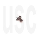 Nikon A441716 Tripod Gear | MB D200