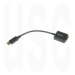 StarTech.com Displayport to DVI Adapter Cable